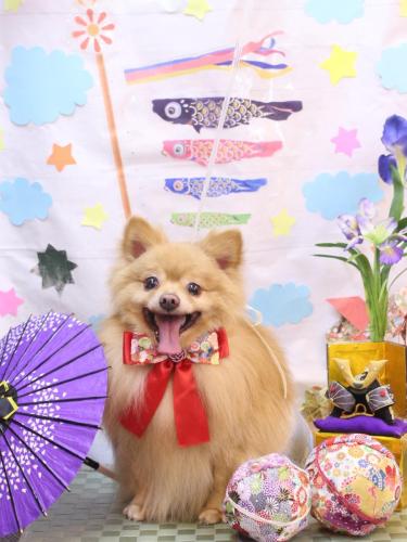 20240508リーくん